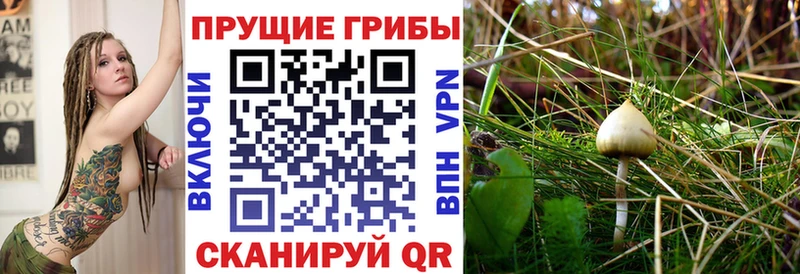 hydra сайт Новокузнецк Псилоцибиновые грибы Cubensis